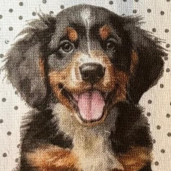 NWT & HARD TO FIND 3 PACK BERNESE MOUNTAIN DOG PUPPY PLUS GREY ABSORBENT TOWELS - Picture 5 of 12